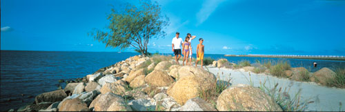 People stand on a rocky shoreline beside a tree, with a long pier across the bay.